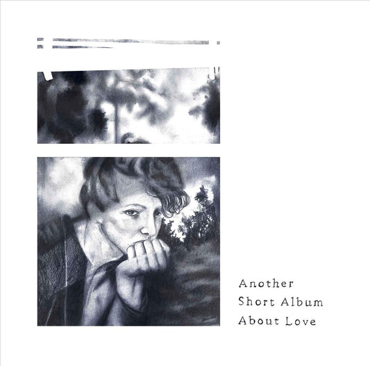 Another Short Album About Love cover art