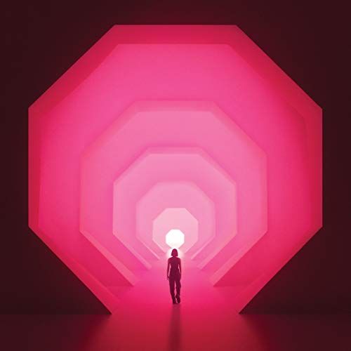 Amnioverse cover art