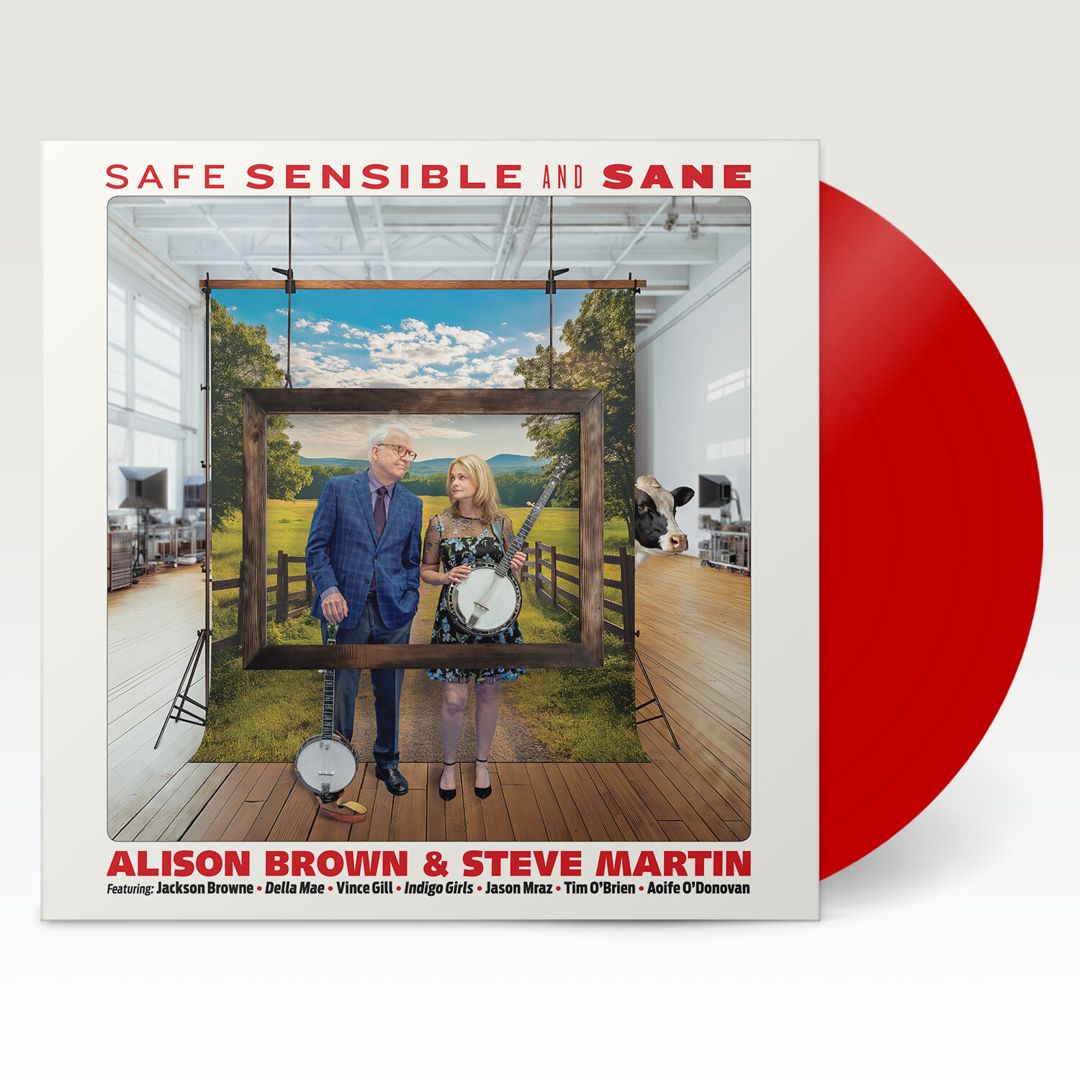 Safe, Sensible and Sane cover art