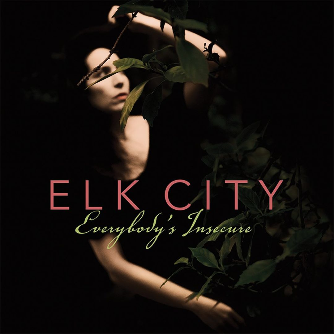 Everybody's Insecure cover art
