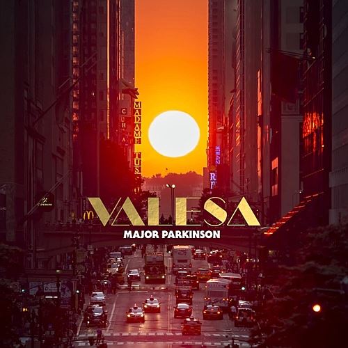 Valesa cover art