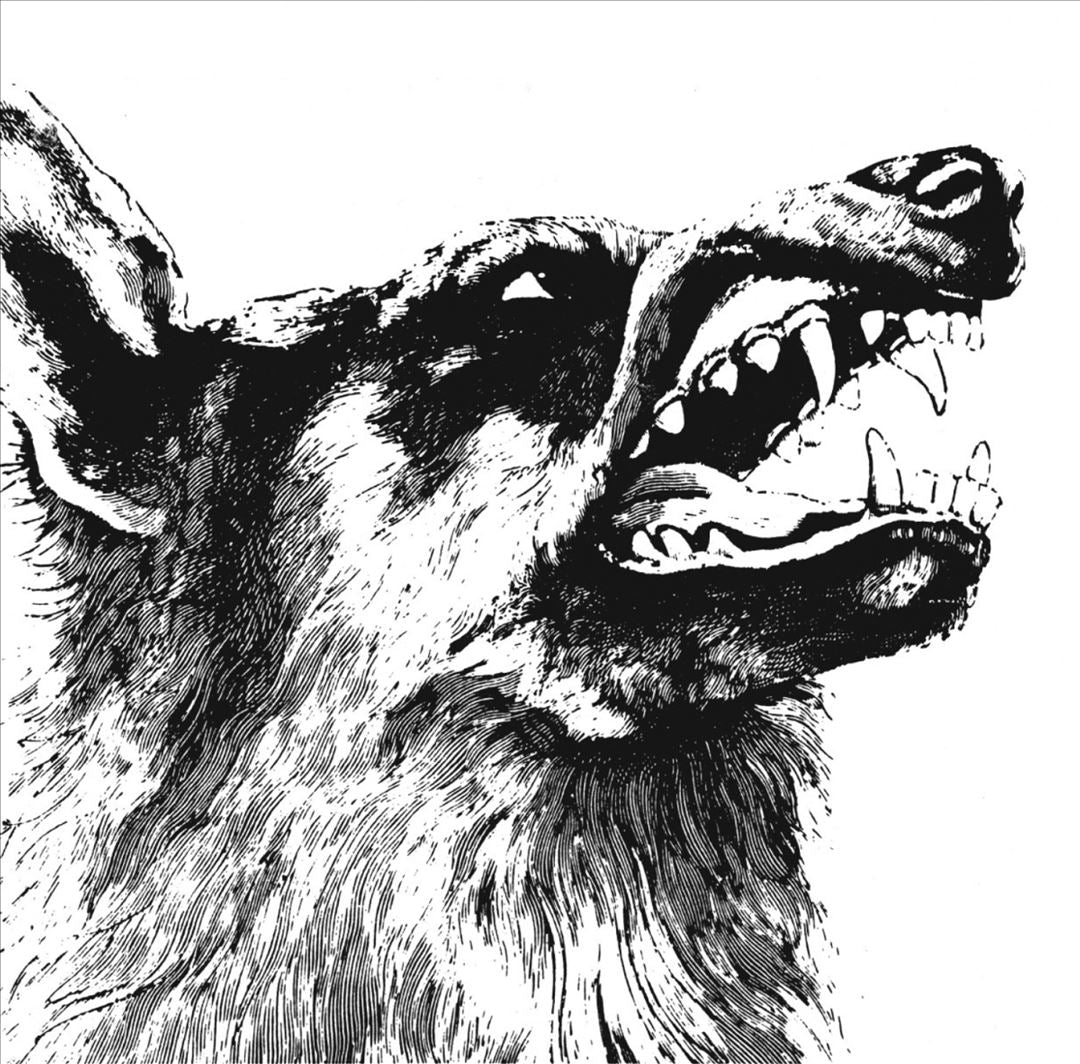 I, Vigilante cover art