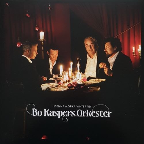 I denna mörka vintertid cover art