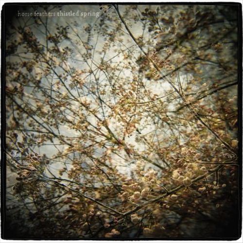 Thistled Spring cover art