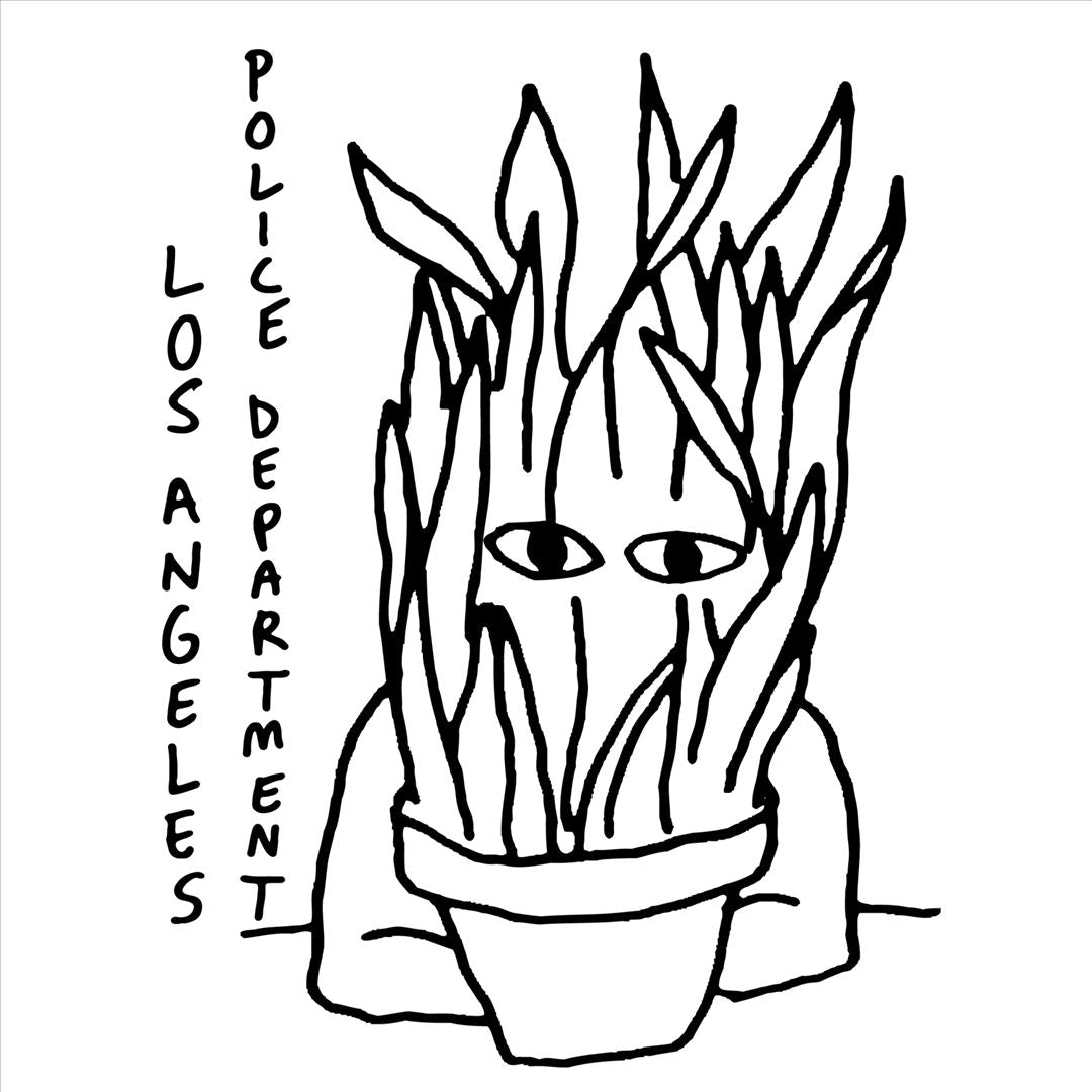 Insecurity cover art