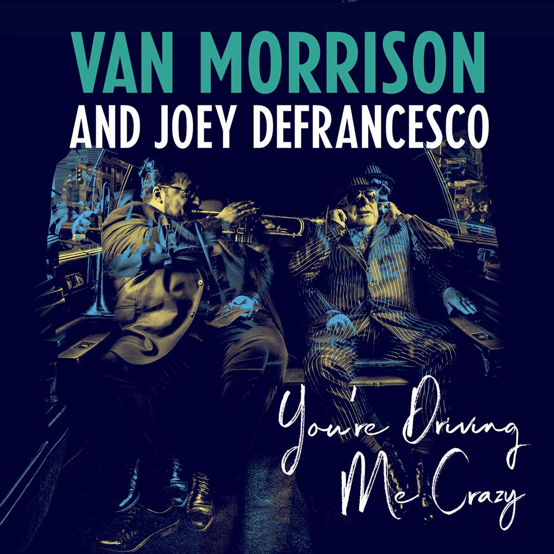 You're Driving Me Crazy cover art