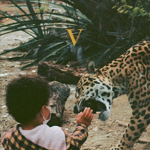 V cover art