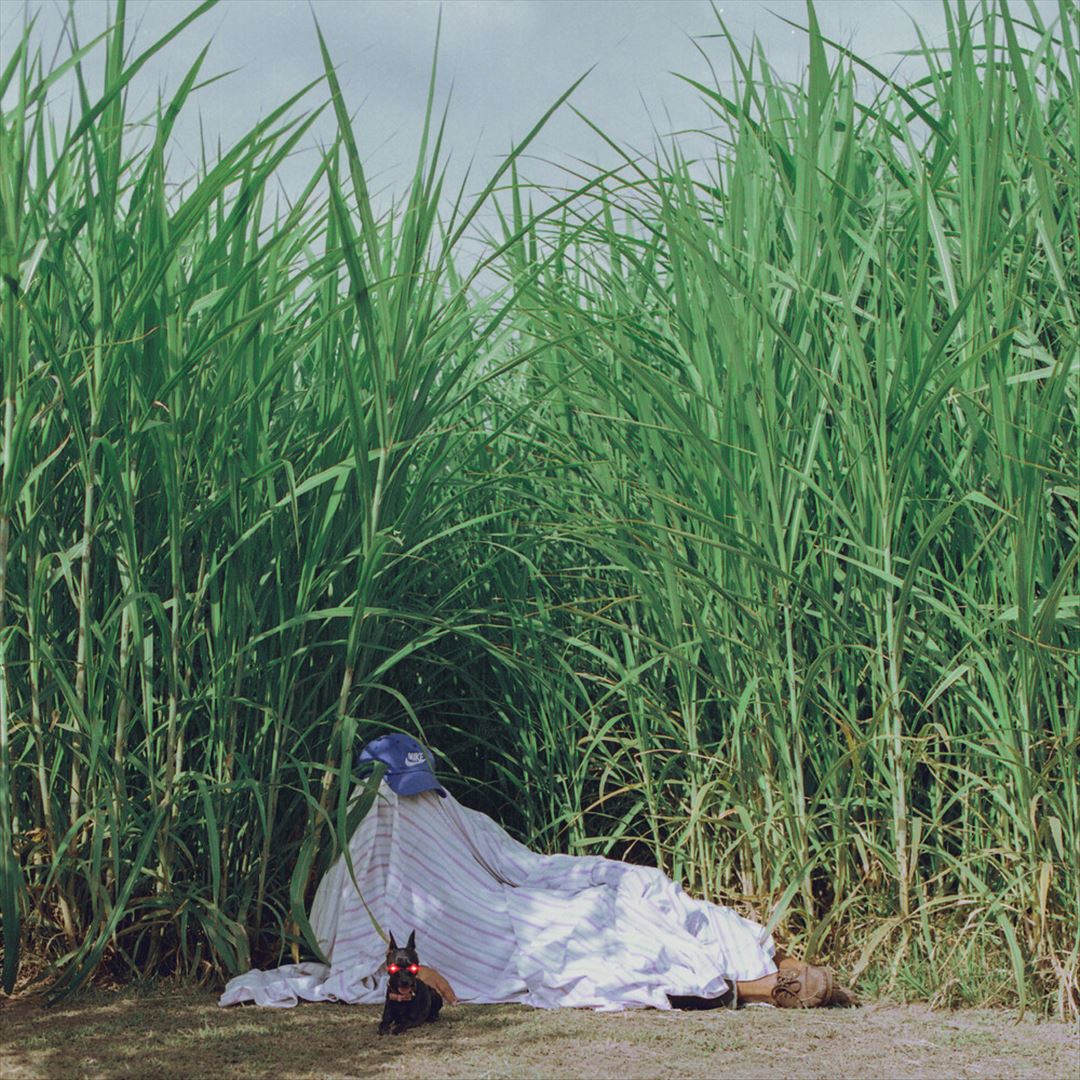 Negra cover art