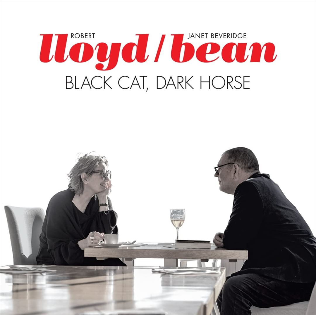 Black Cat, Dark Horse cover art