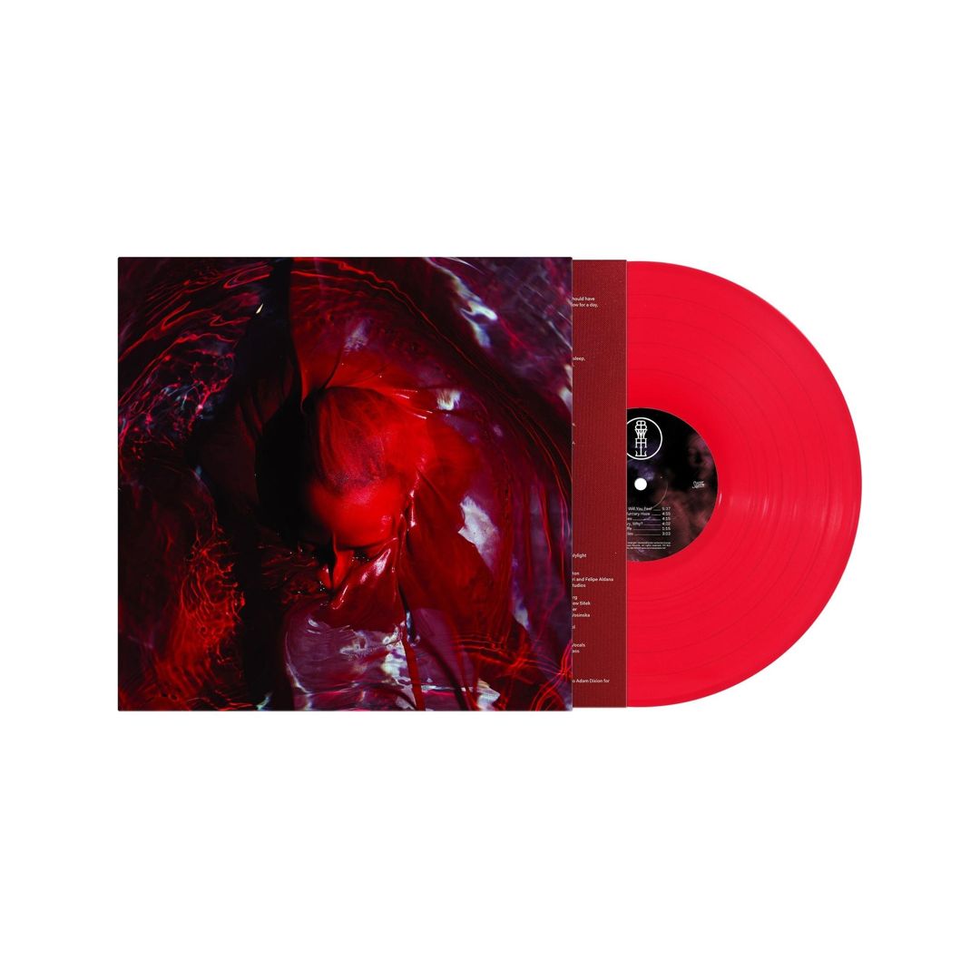 Not Here Not Gone cover art