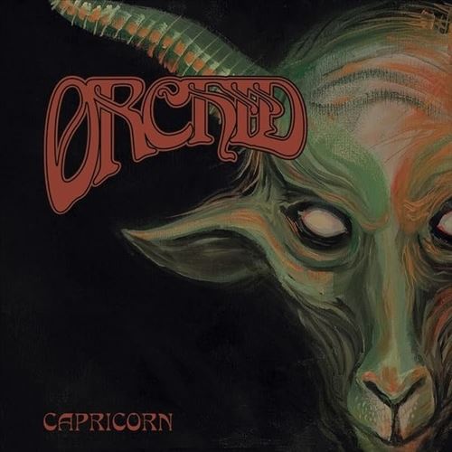 Capricorn cover art