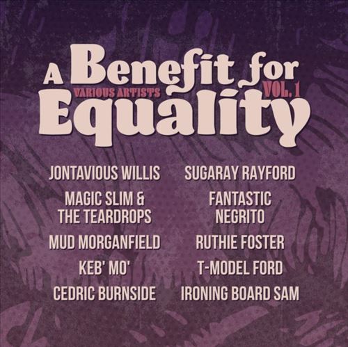 Benefit for Equality, Vol. 1 cover art