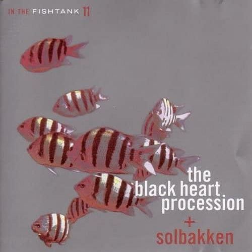 In the Fishtank, Vol. 11 cover art
