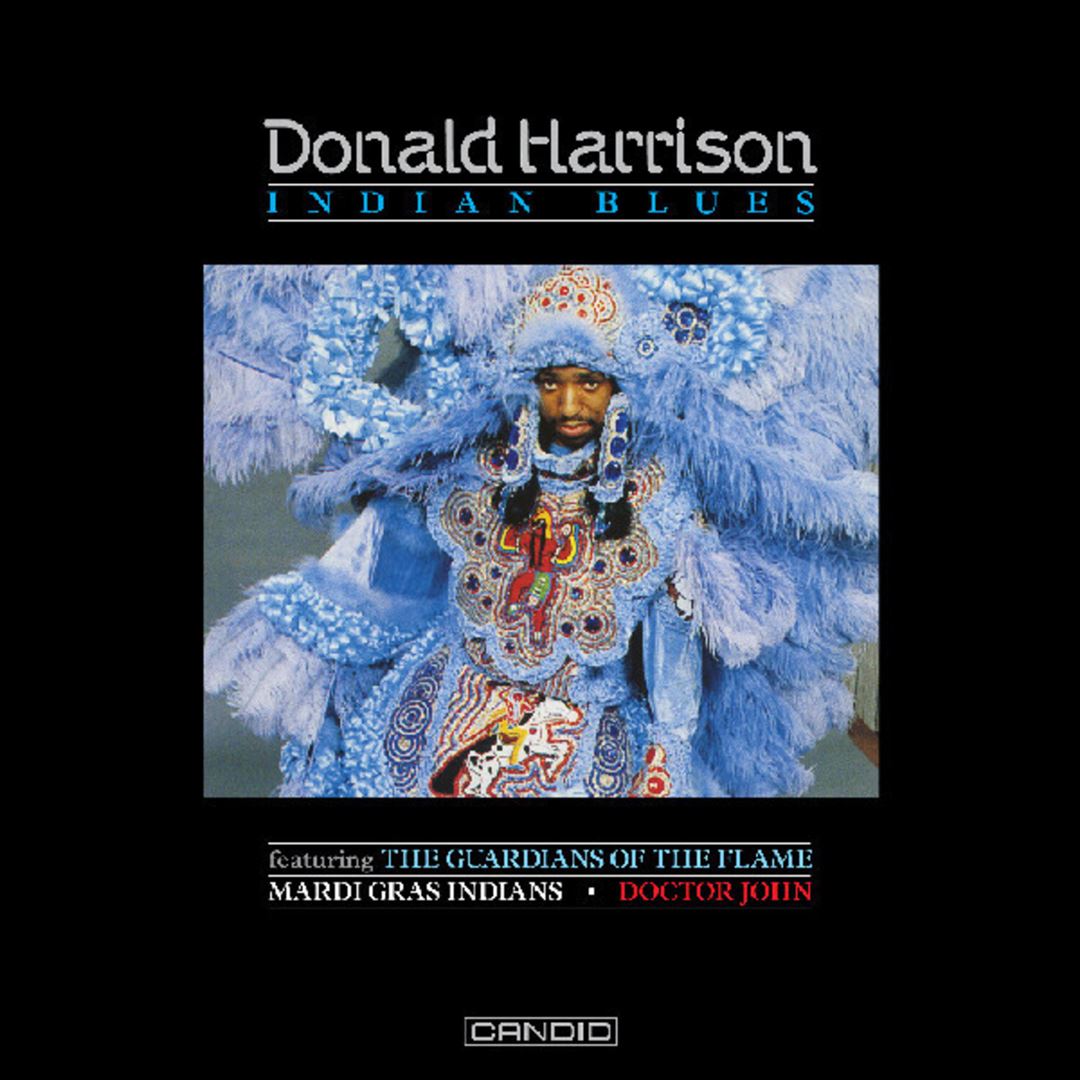 Indian Blues cover art