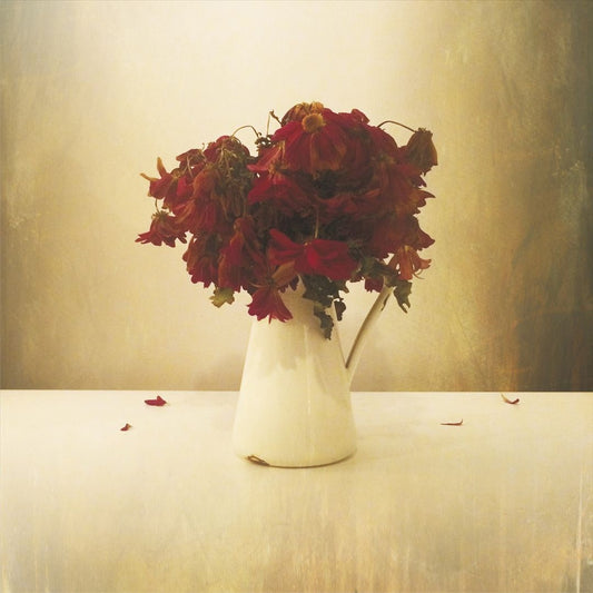 Cardiac Hotel cover art