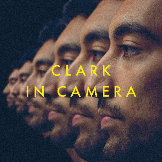 In Camera cover art
