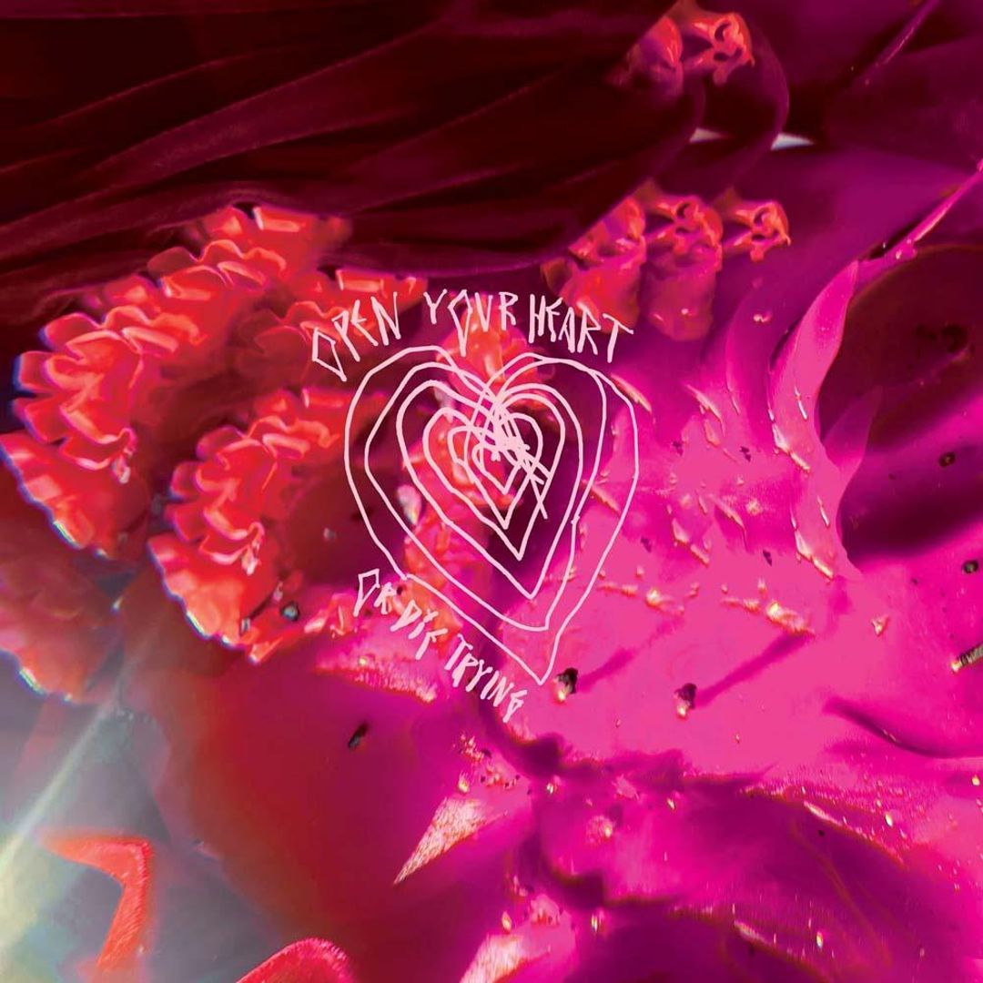Open Your Heart or Die Trying [Limited Black Vinyl] cover art