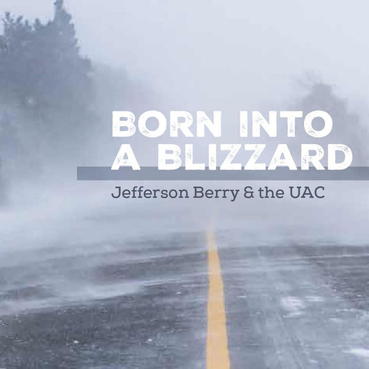 Born Into a Blizzard cover art