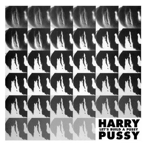 Let's Build a Pussy cover art