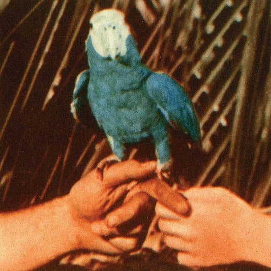 Are You Serious [LP] cover art