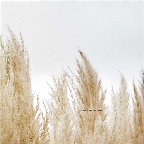 In Gleam cover art