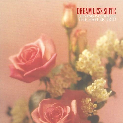 Dream Less Suite cover art