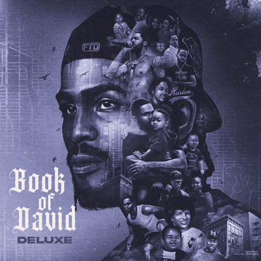 Book of David [Deluxe] cover art