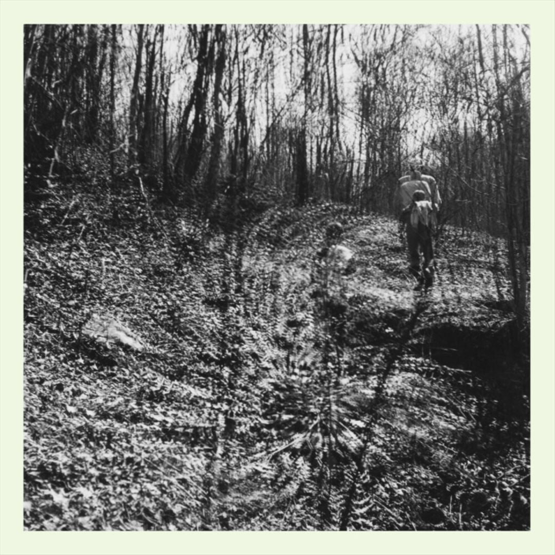 Interior Spring cover art