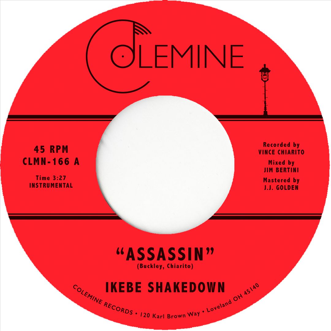 Assassin cover art