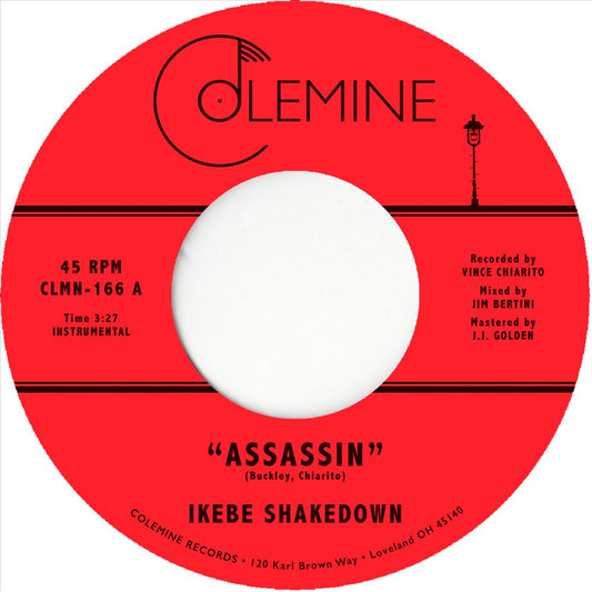 Assassin cover art