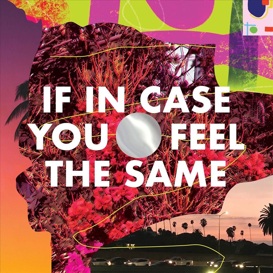 If in Case You Feel the Same cover art