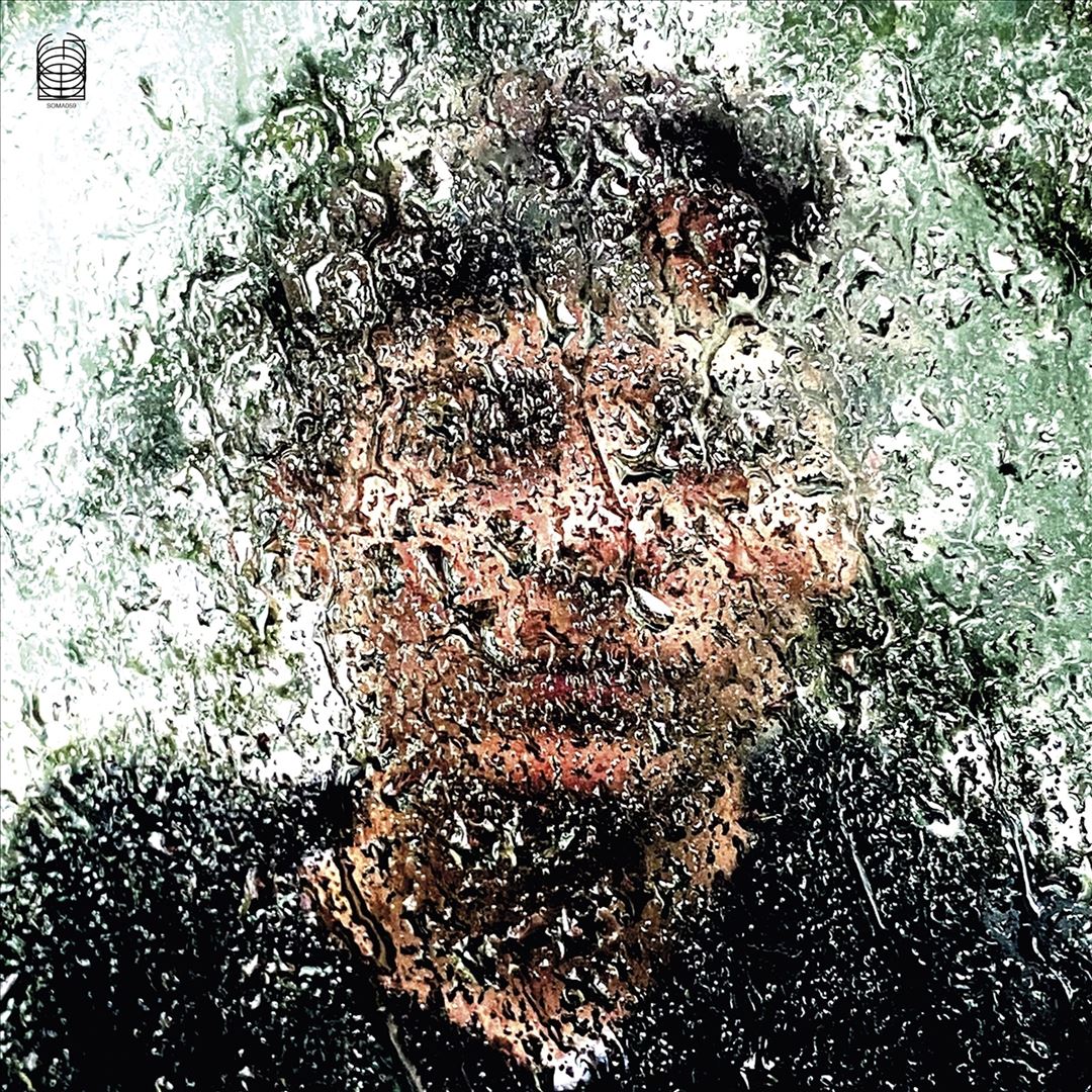 Bye Bye Bird cover art