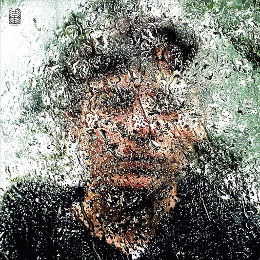 Bye Bye Bird cover art