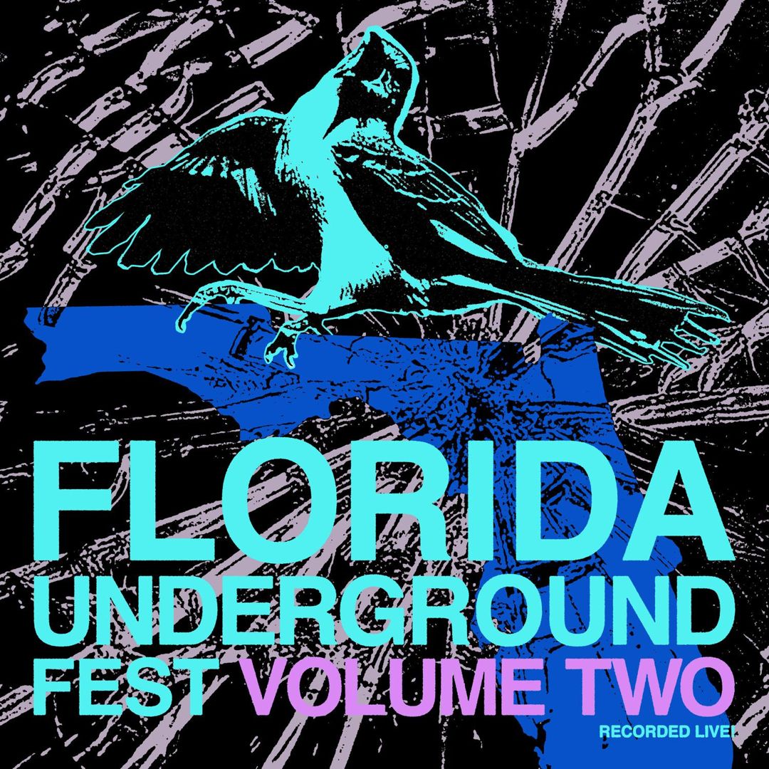 Florida Underground Fest 2 cover art