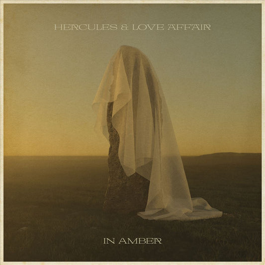 In Amber cover art