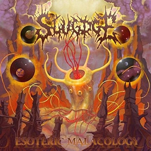 Esoteric Malacology cover art
