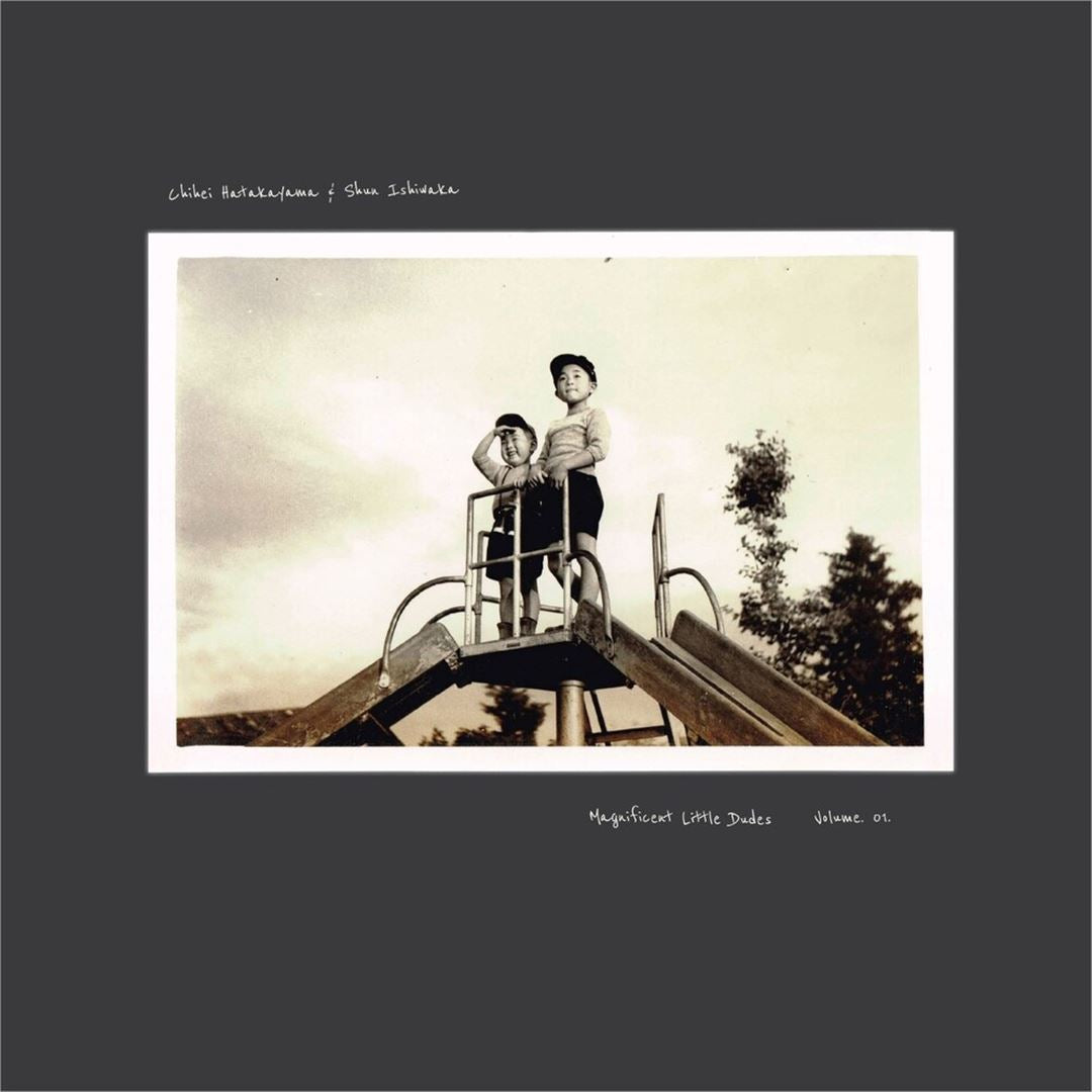 Magnificent Little Dudes, Vol. 1  cover art