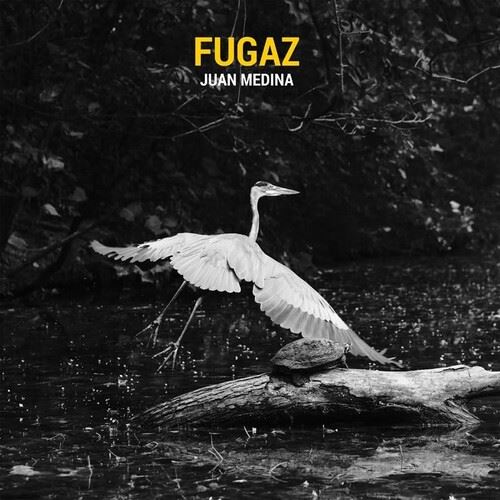 Fugaz cover art