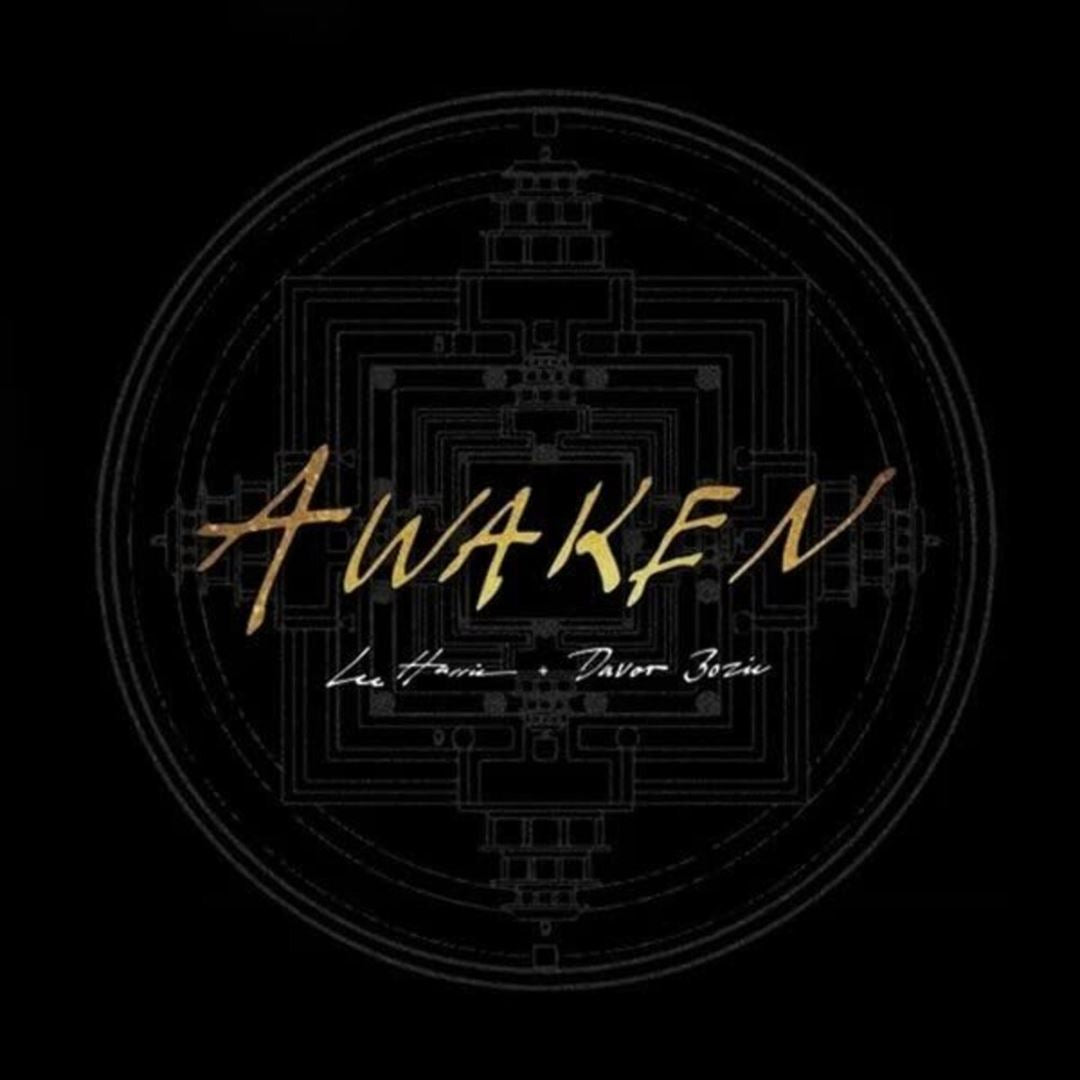 Awaken cover art