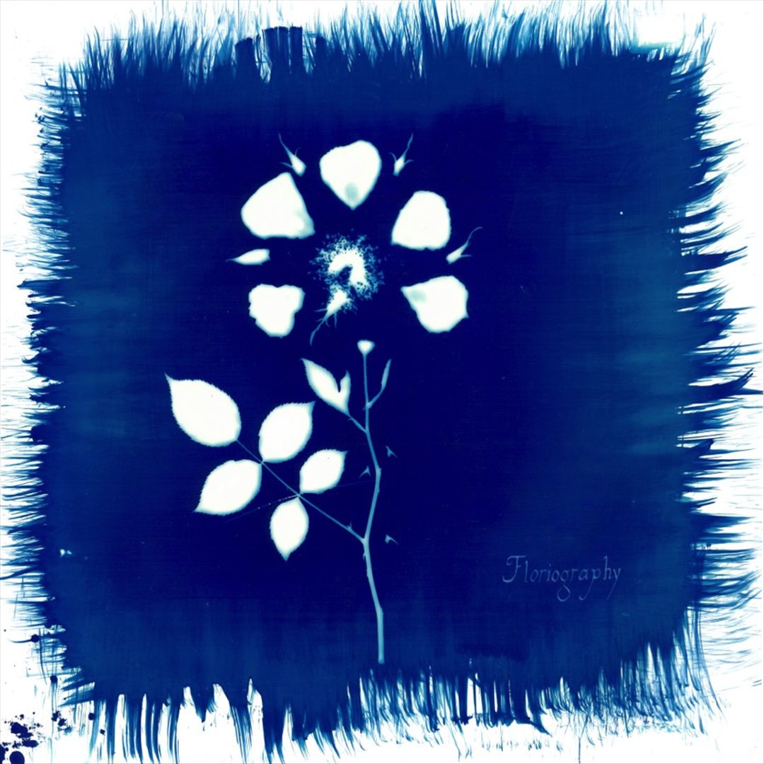 Floriography cover art