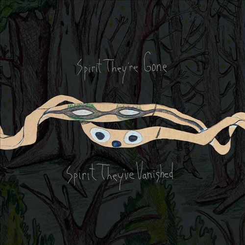Spirit They’re Gone, Spirit They’ve Vanished cover art
