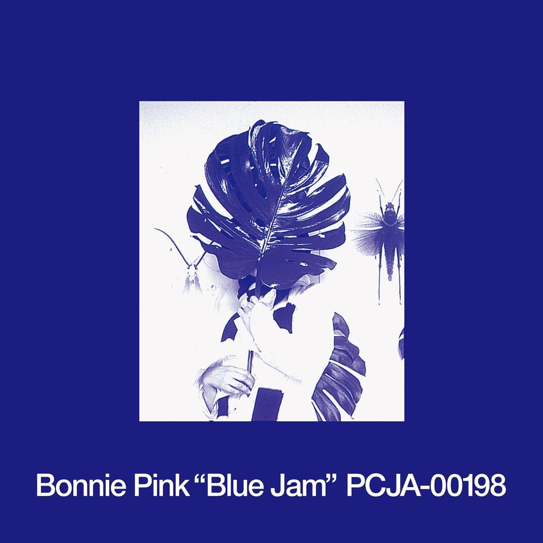 Blue Jam cover art