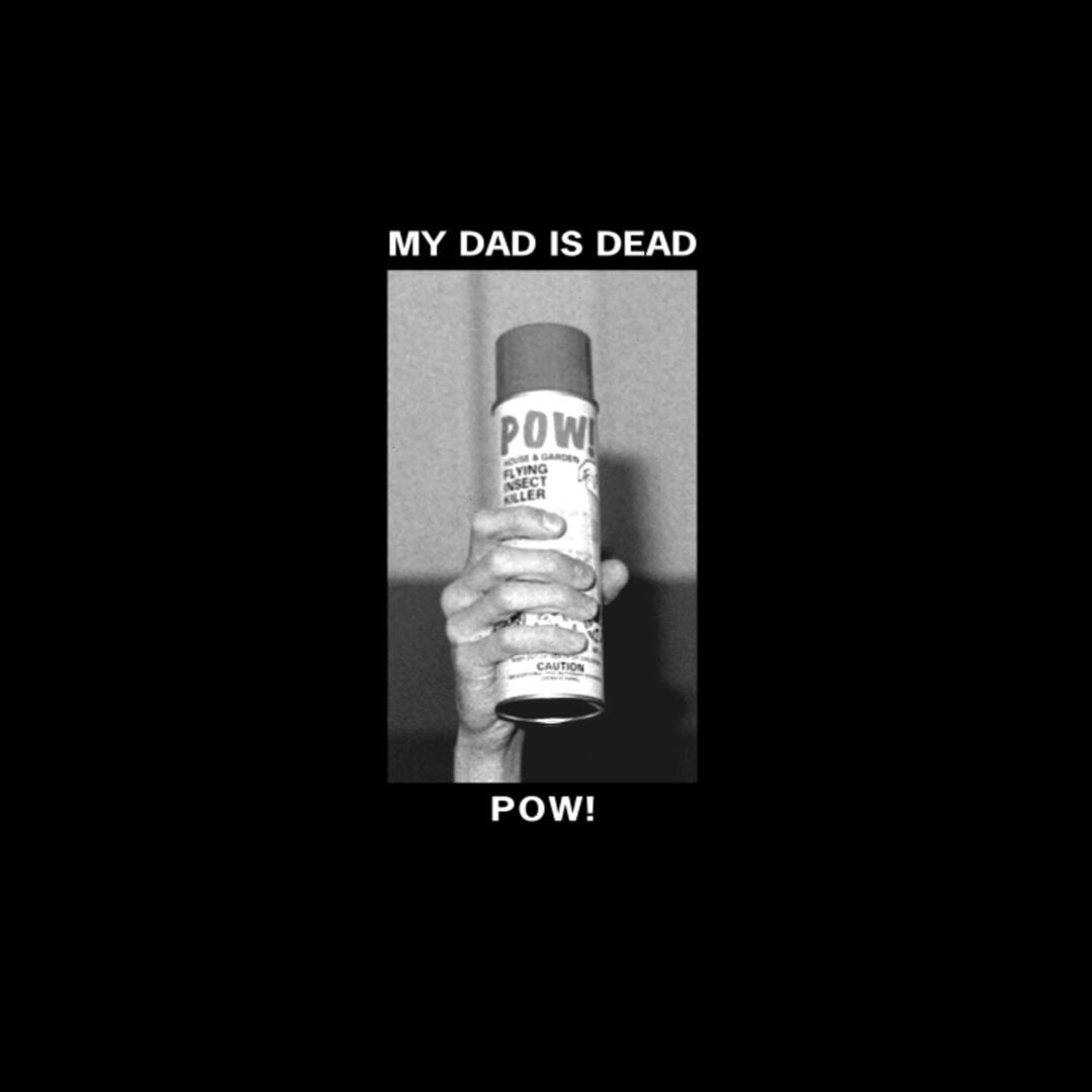 Pow! cover art