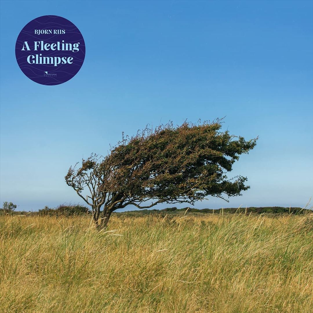 A Fleeting Glimpse [Blue Vinyl] cover art