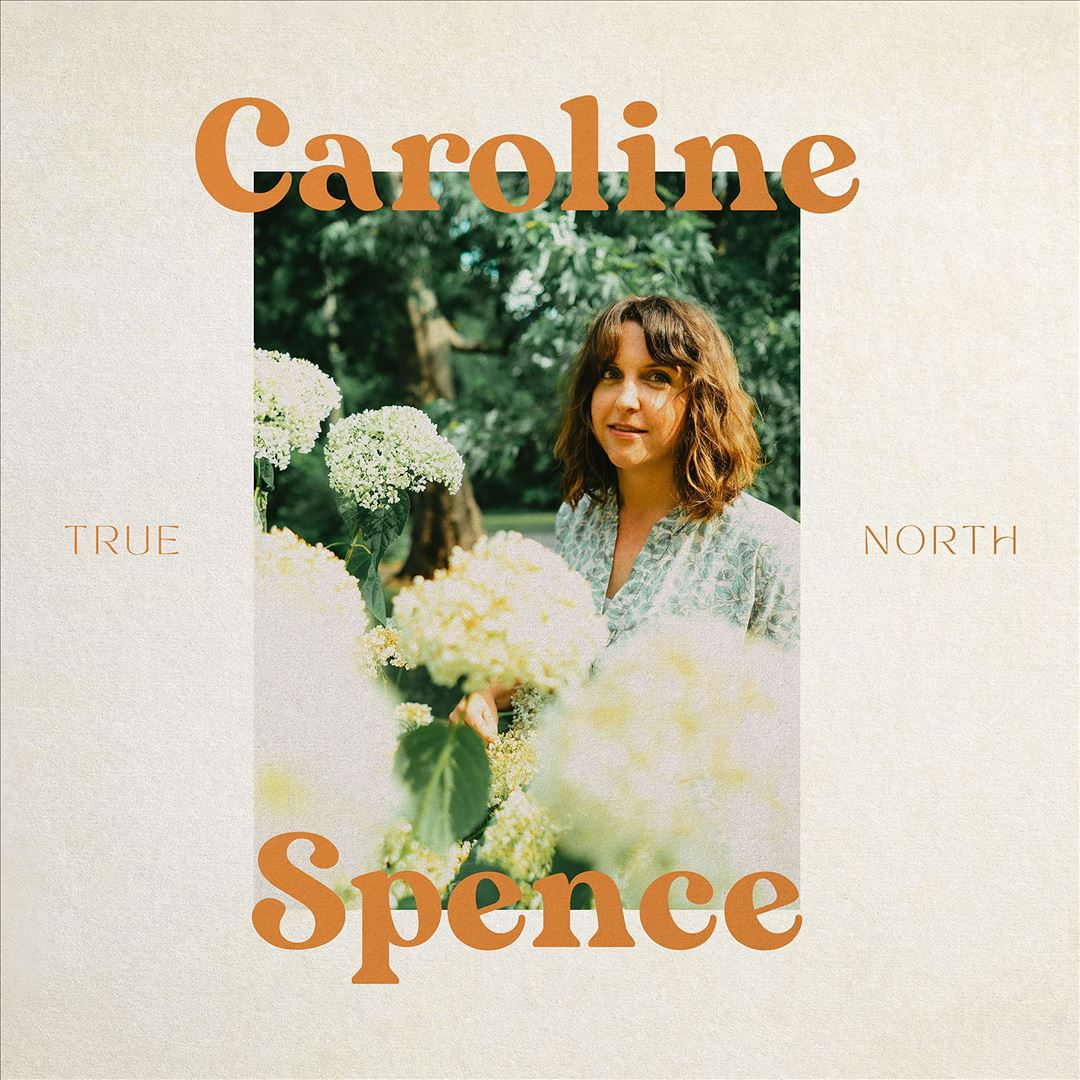 True North cover art