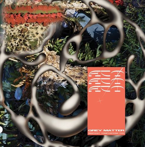 Grey Matter AR Snapchat Compositions cover art