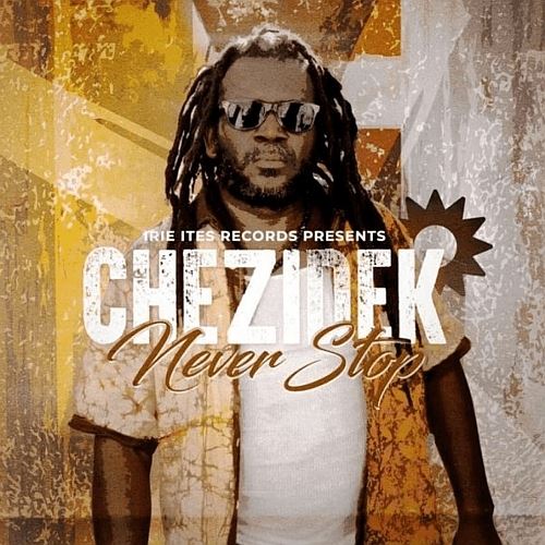 Never Stop cover art