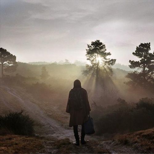 New Nature [LP] cover art