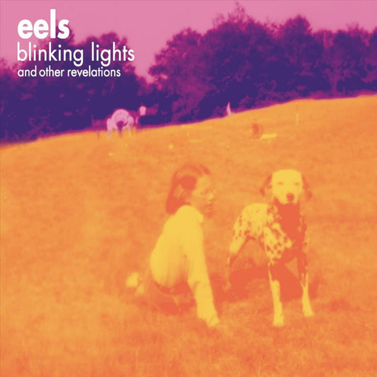 Blinking Lights and Other Revelations cover art