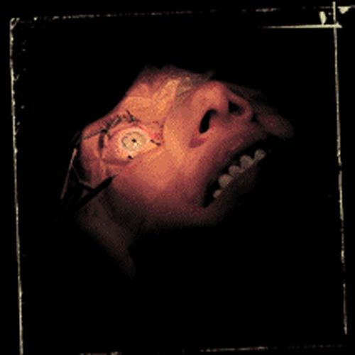 Anatomy Is Destiny cover art